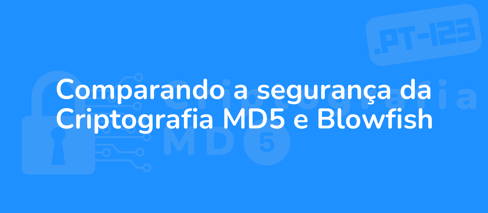 contrasting the security of md5 and blowfish encryption with a captivating image of code snippets represented in vibrant hues 8k resolution