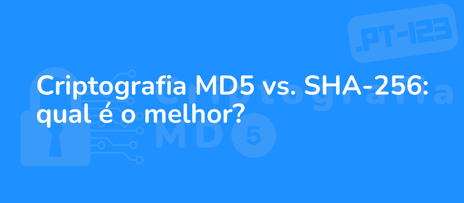 comparison of md5 vs sha 256 encryption methods visually represents the debate with contrasting colors intricate design 8k